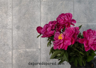Foto tapiz Loft 59334 Papel tapiz en Hermosillo textura bloques cemento de pared a pared